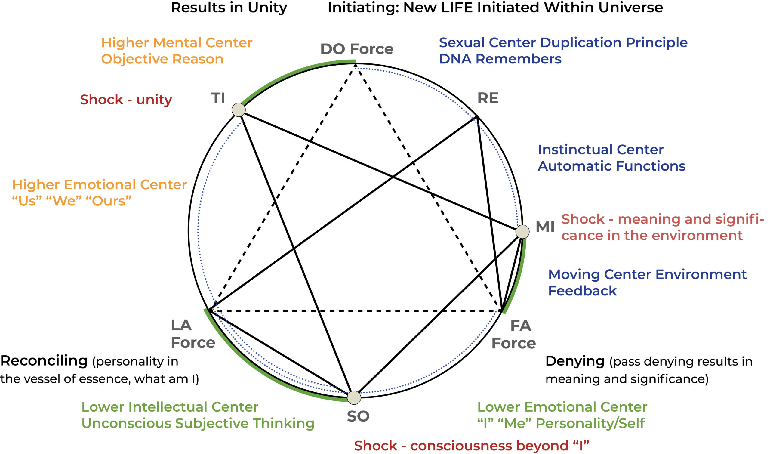 Objective Enneagram Diatonic Octave Evolution 7 Centers of Consciousness