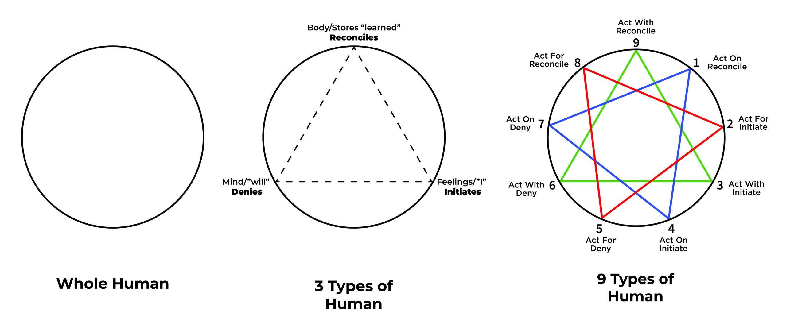 The Objective Enneagram Project From 1 to 3 to 9 Personality Types