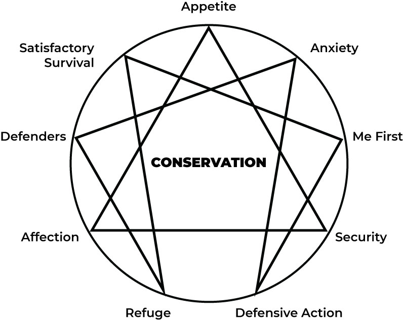 The Objective Enneagram Project Preserving Original Conservation or Self-Preservation Instinct Labels by Ichazo Arica Training 1970