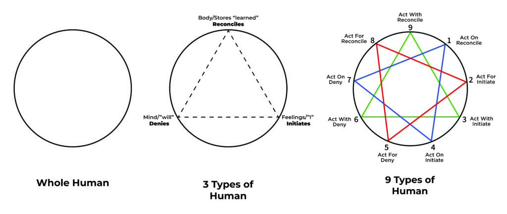 The Objective Enneagram Project Diagram of whole, three, and nine human personality types