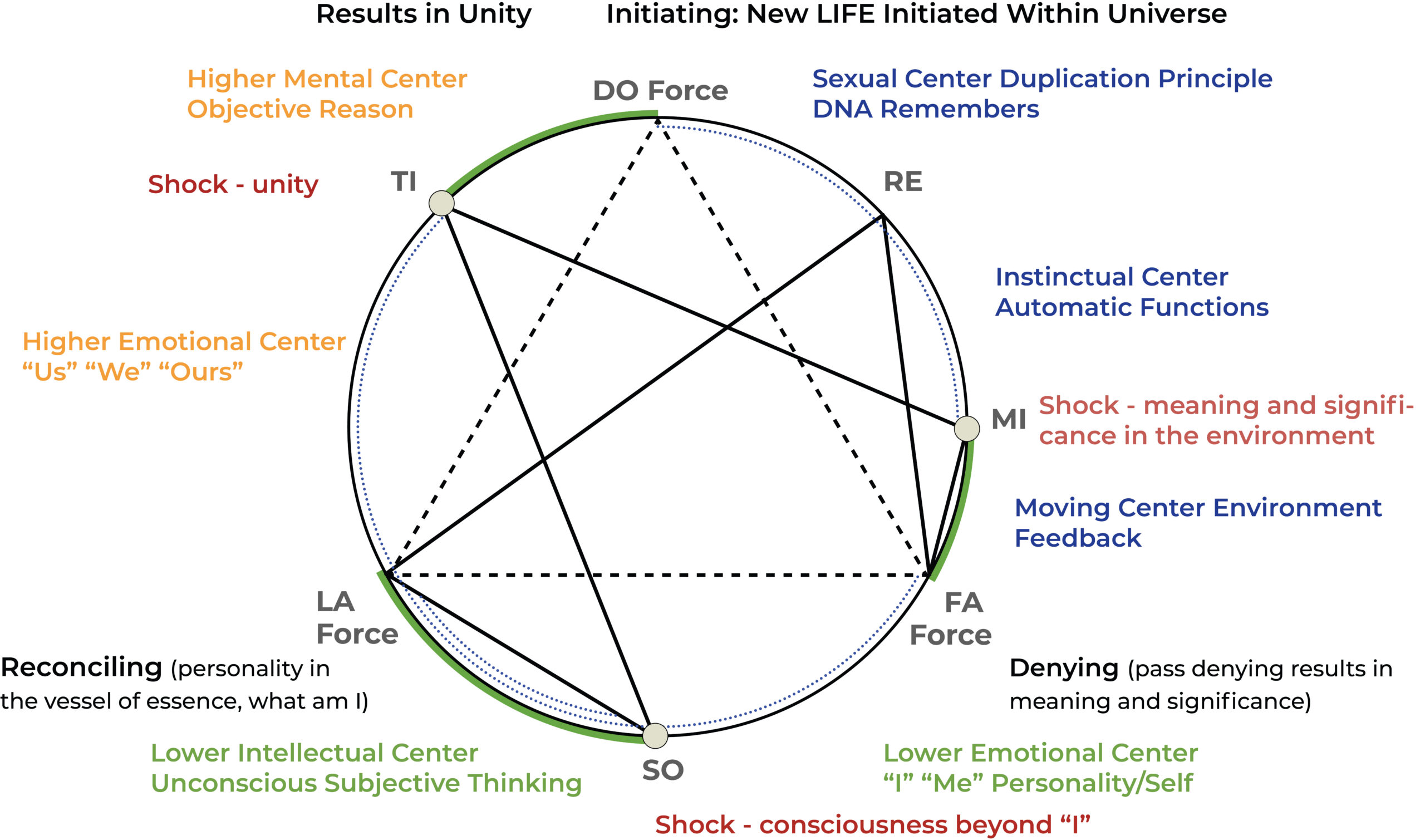 Objective Enneagram Diatonic Octave Evolution 7 Centers of Consciousness
